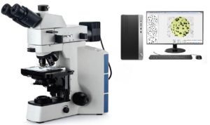 KMX-40MW三目正置金相显微镜